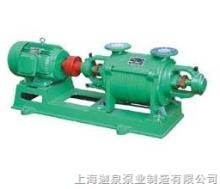 2SK系列不銹鋼兩級水環(huán)真空泵
